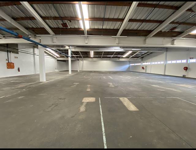 1,392M² WAREHOUSE TO LET IN NEW GERMANY